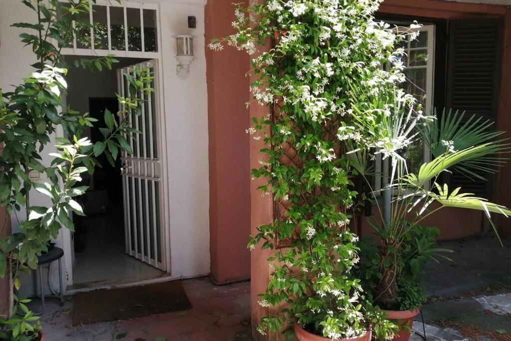 شقة La Casa Della Mia Famiglia روما المظهر الخارجي الصورة